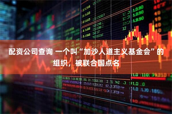 配资公司查询 一个叫“加沙人道主义基金会”的组织，被联合国点名