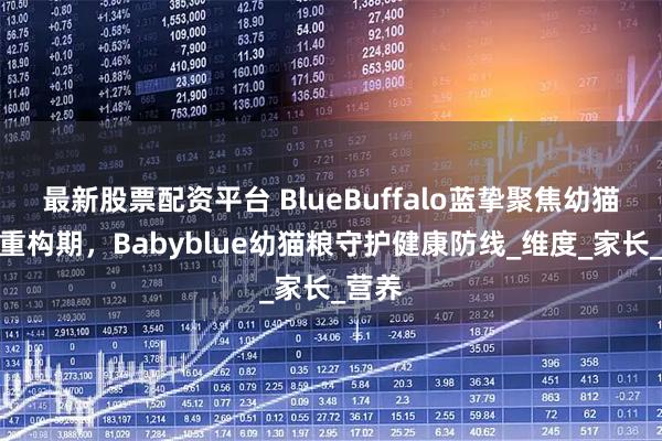最新股票配资平台 BlueBuffalo蓝挚聚焦幼猫免疫重构期，Babyblue幼猫粮守护健康防线_维度_家长_营养
